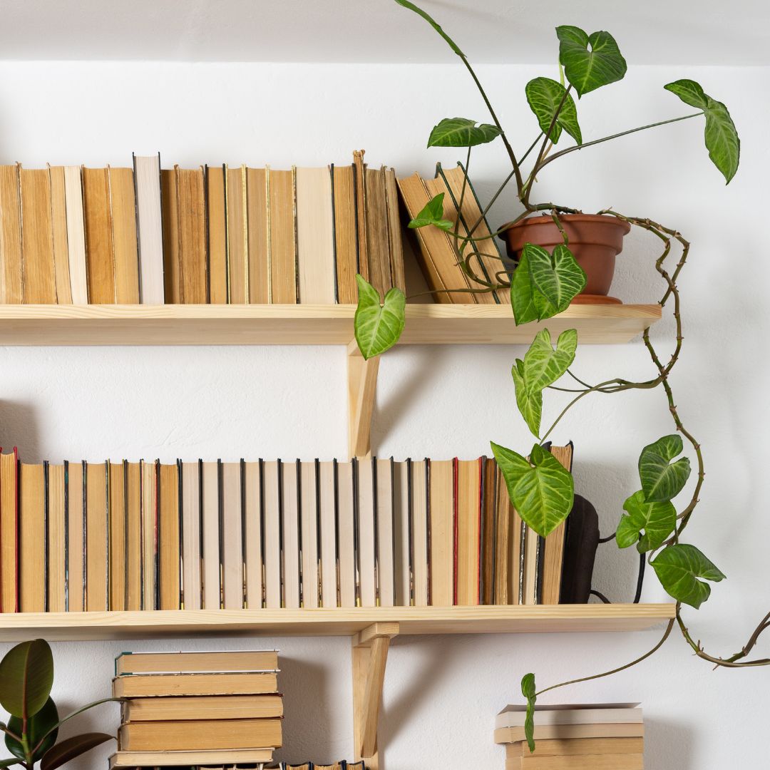 Vertical space used in apartment