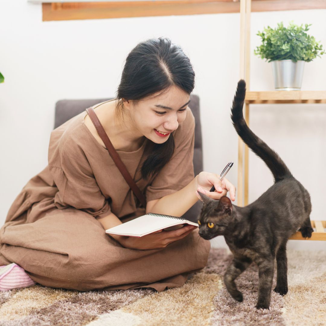 woman playing with cat