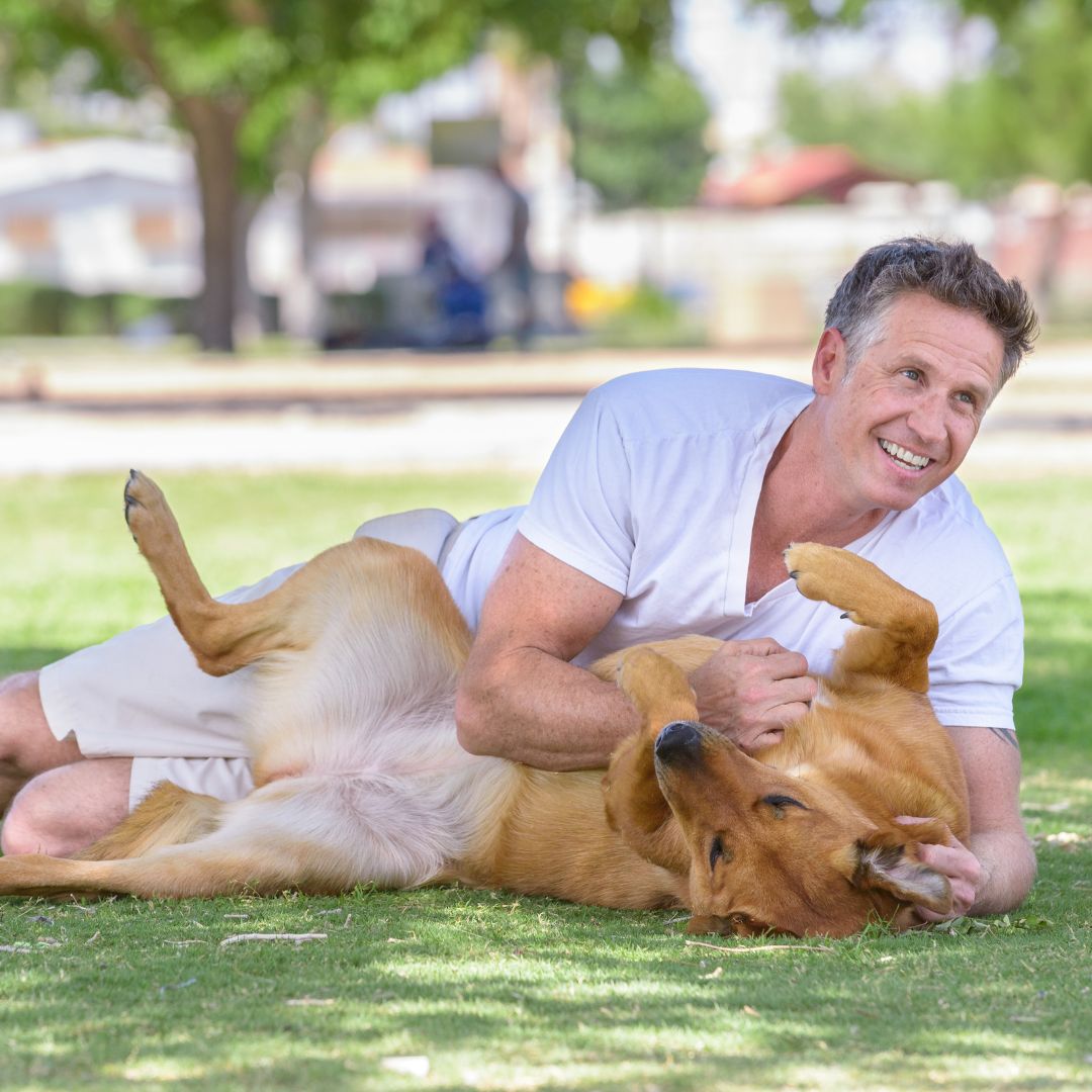 man playing with dog