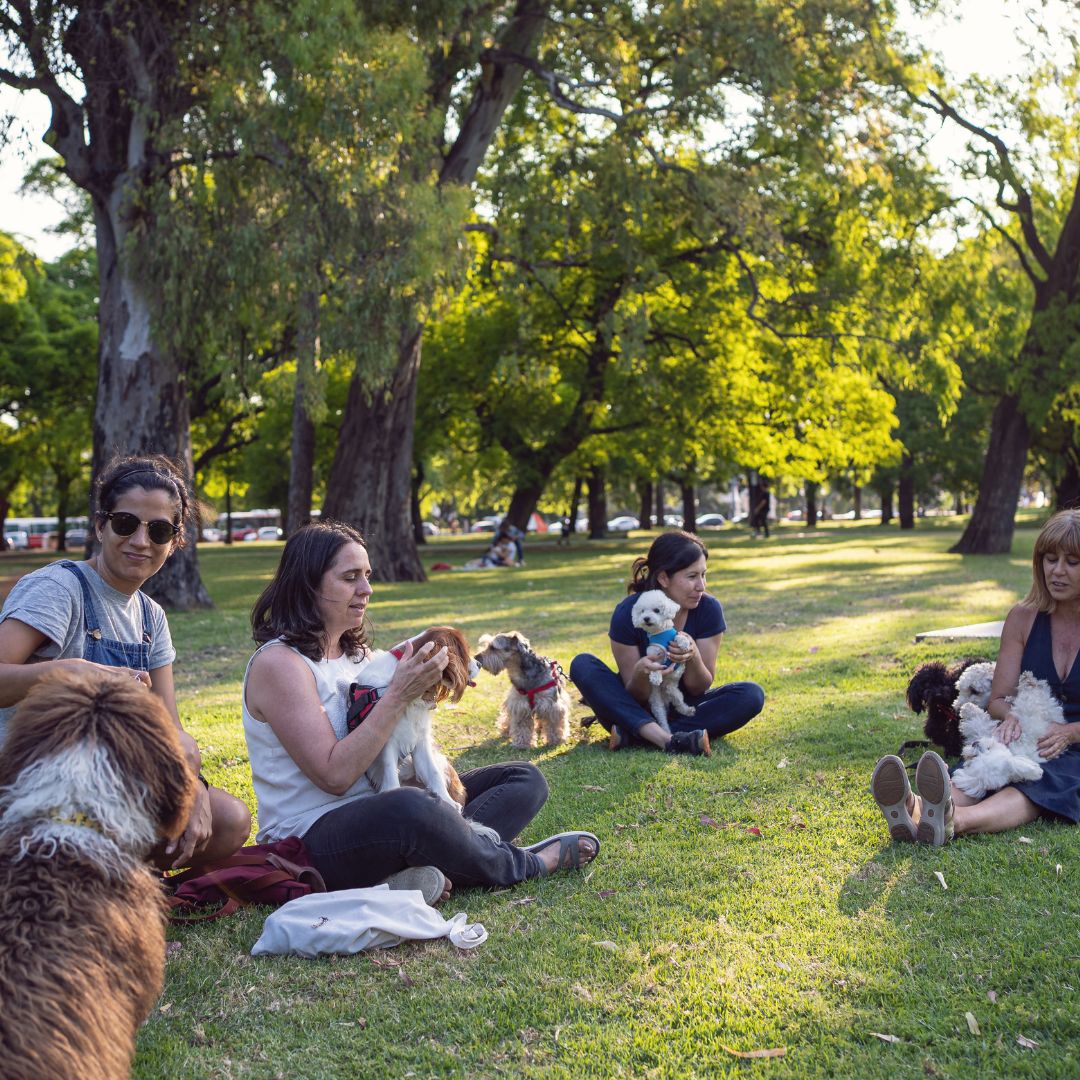 women playing with their dogs at a dog park