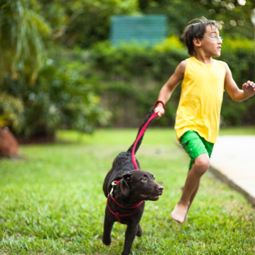 dog and child running
