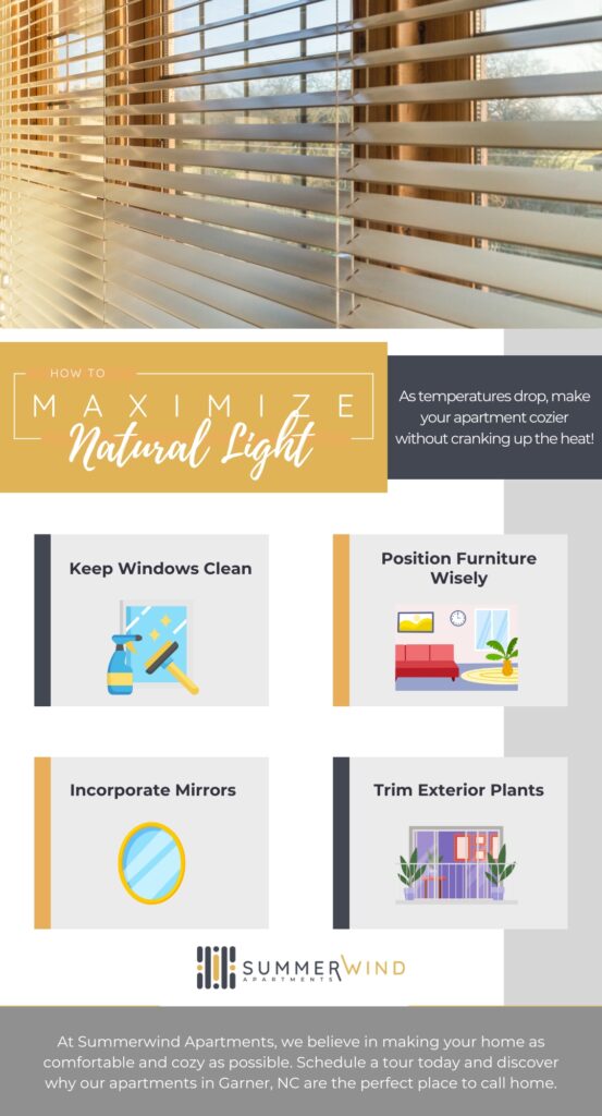 maximize natural light infographic