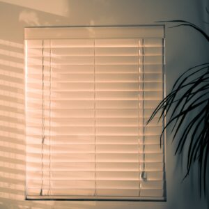 Closed window blinds