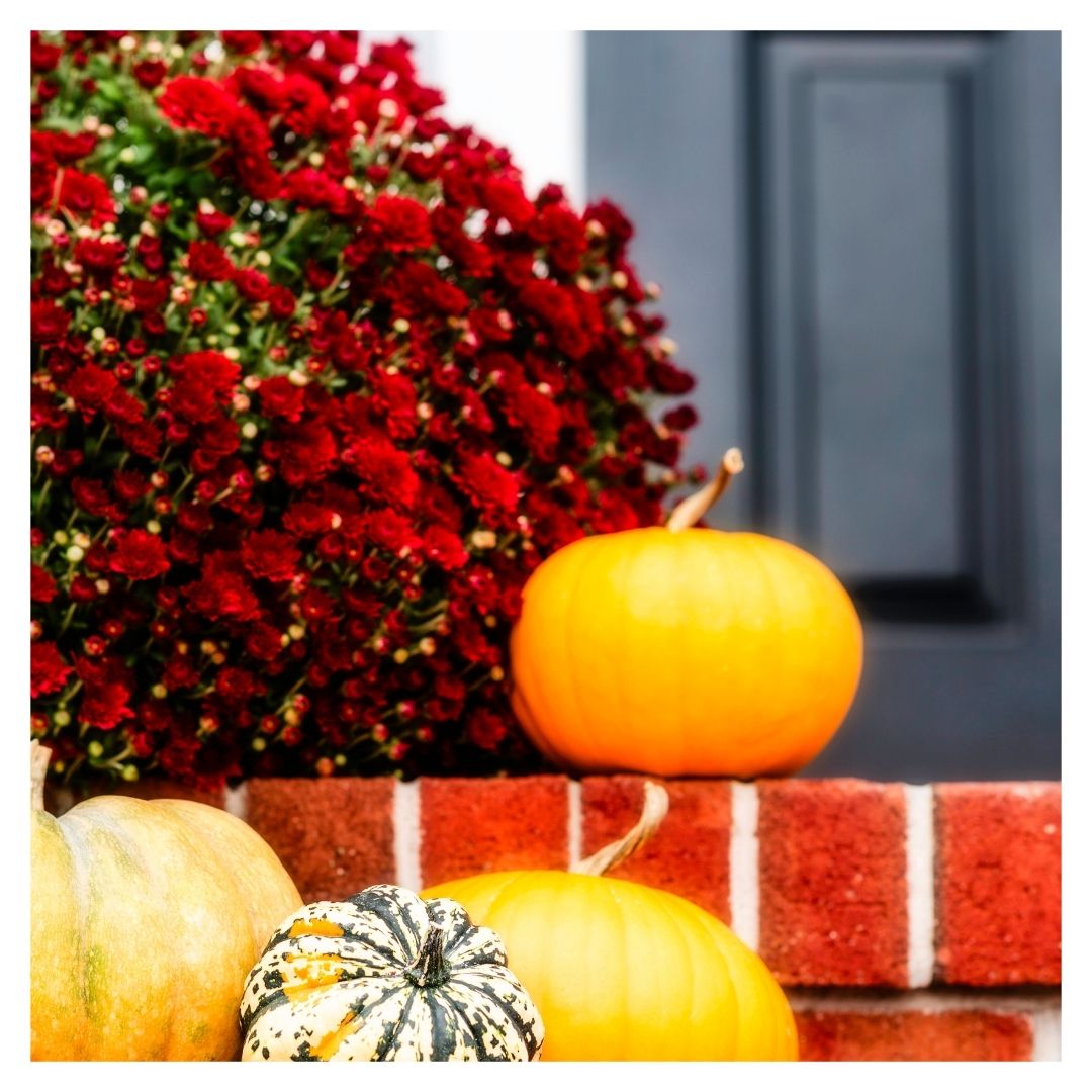 steps decorated with pumpkins and mum
